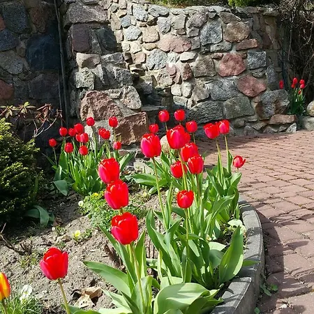 House Marcinkowo * Mrągowo